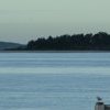 Looking at Towra Point across Georges River running into Botany Bay, Sans Souci